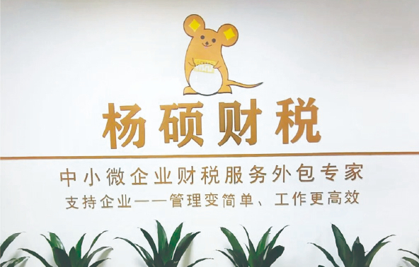 杨硕财税